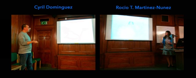 pcitures-november-2016